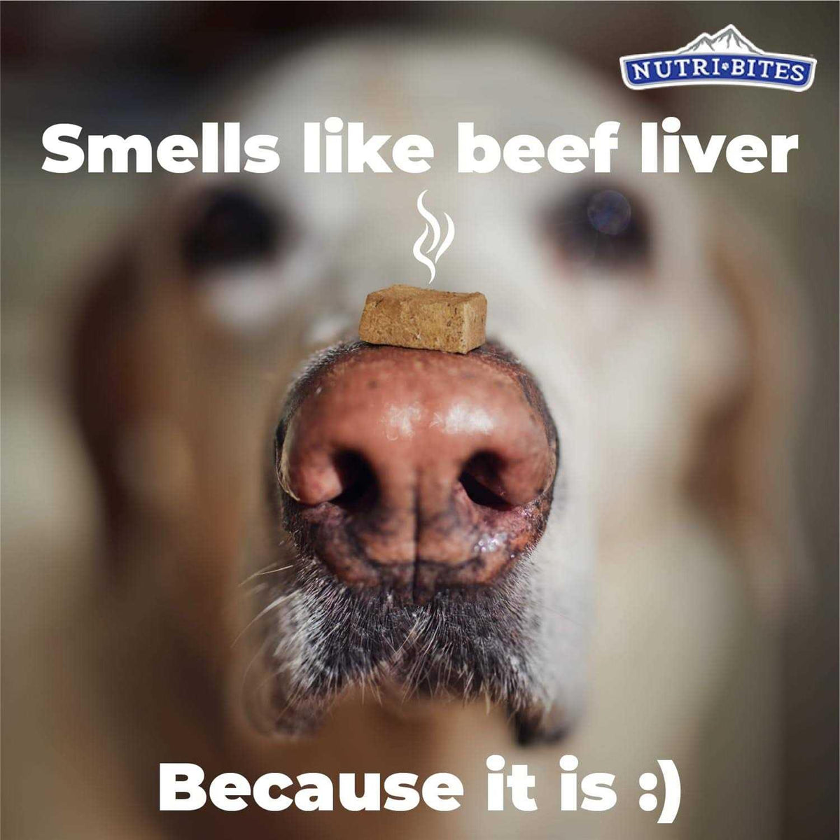 Freeze Dried Beef Liver Dog & Cat Treats M9710
