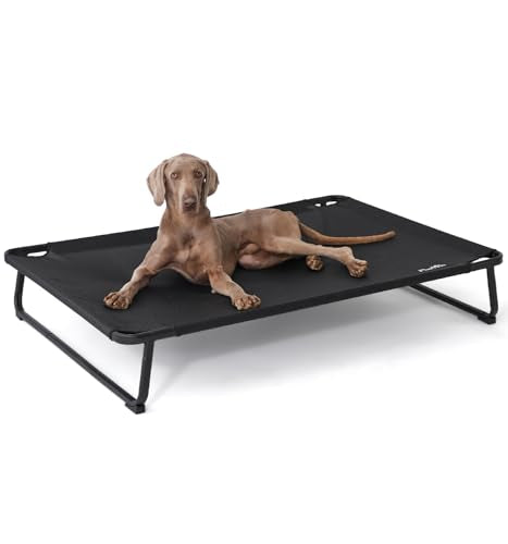 Elevated Dog Bed with Washable Mesh Hammock C837503