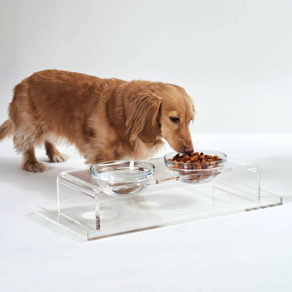 Clear Elevated Glass Bowl Feeder F75894