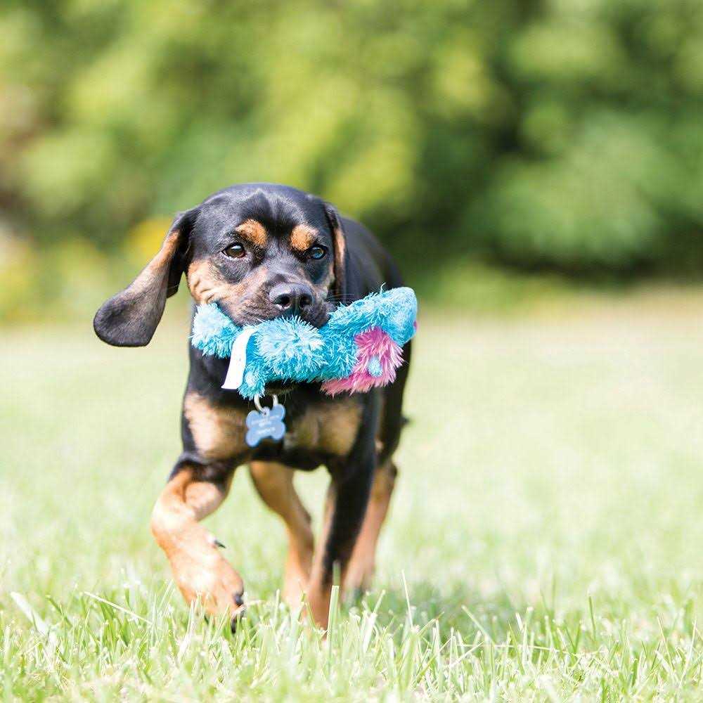 Dog Toy H1000