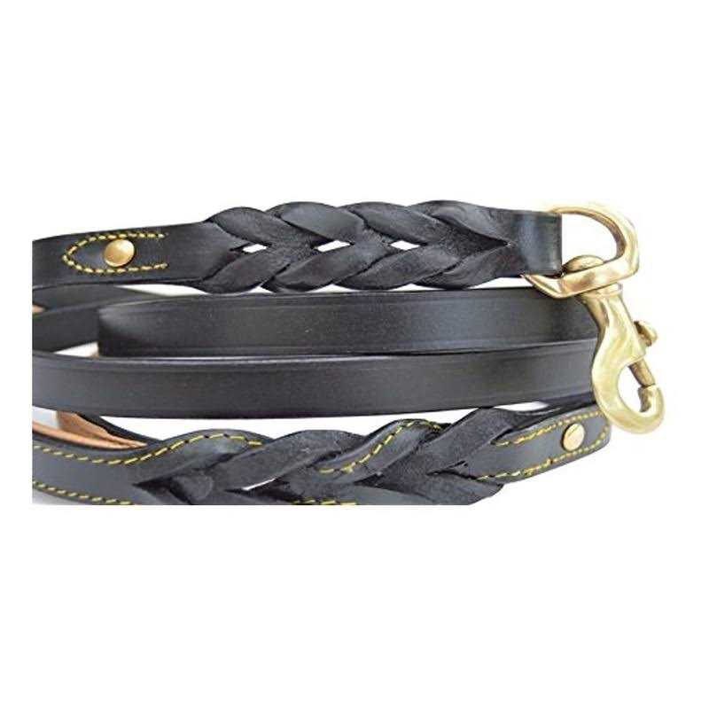 Leather Braided Dog Leash Q698