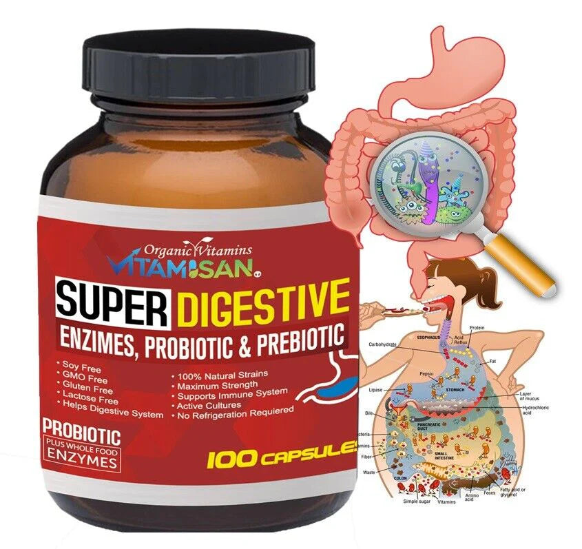 Digestive Enzyme Supplement 1 Bottle H419