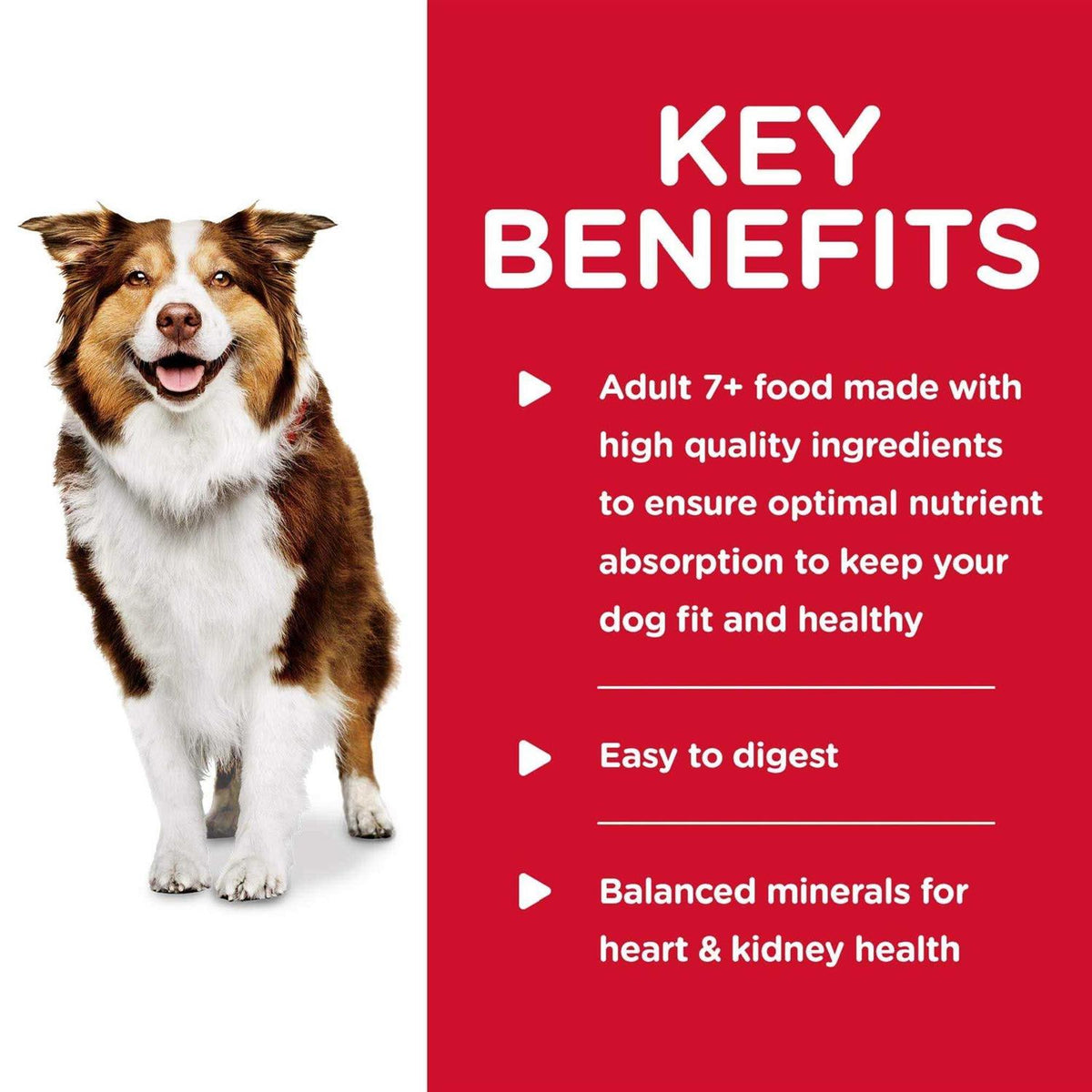 Beef & Barley Entree Dog Food Z24922