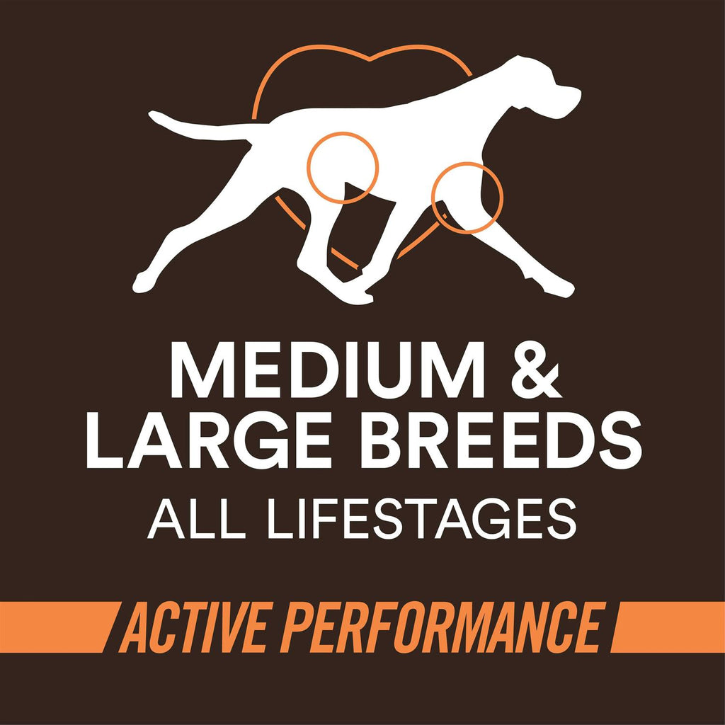 Chicken & Rice High-Protein Dry Dog Food D371254