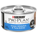 Grain Free Pate Wet Cat Food W4207
