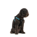 Dog Harness N888