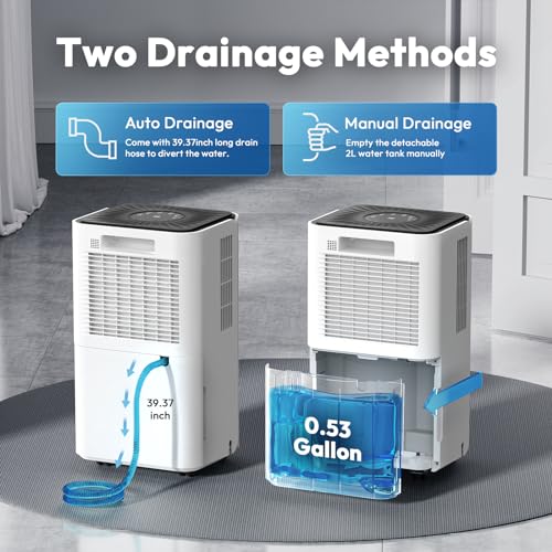 30 Pint Dehumidifier with Drain Hose W800659