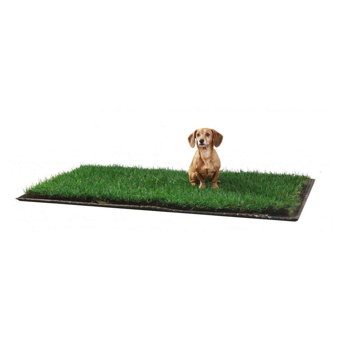 Real Grass Dog Potty I38982