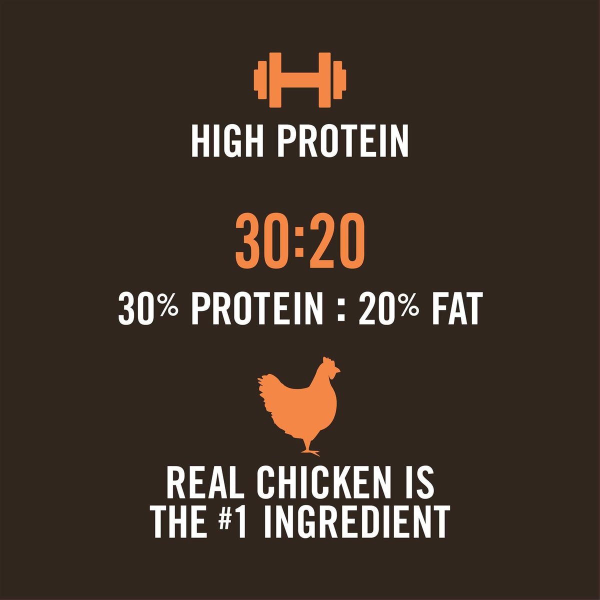 Chicken & Rice High-Protein Dry Dog Food D371254