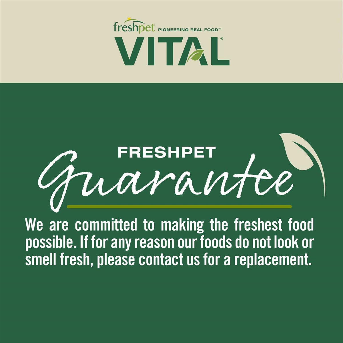 Grain Free Puppy Food V37717
