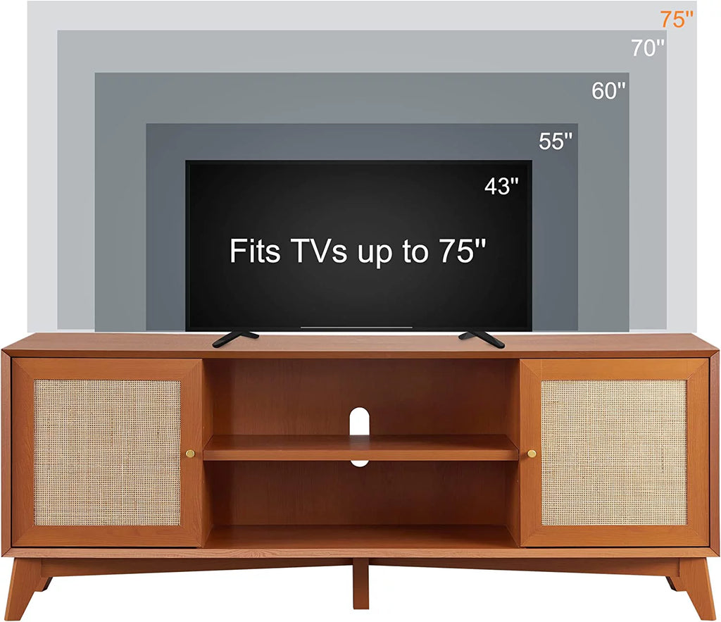 Rattan TV Stand with 2-Door H304456