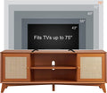 Rattan TV Stand with 2-Door H304456