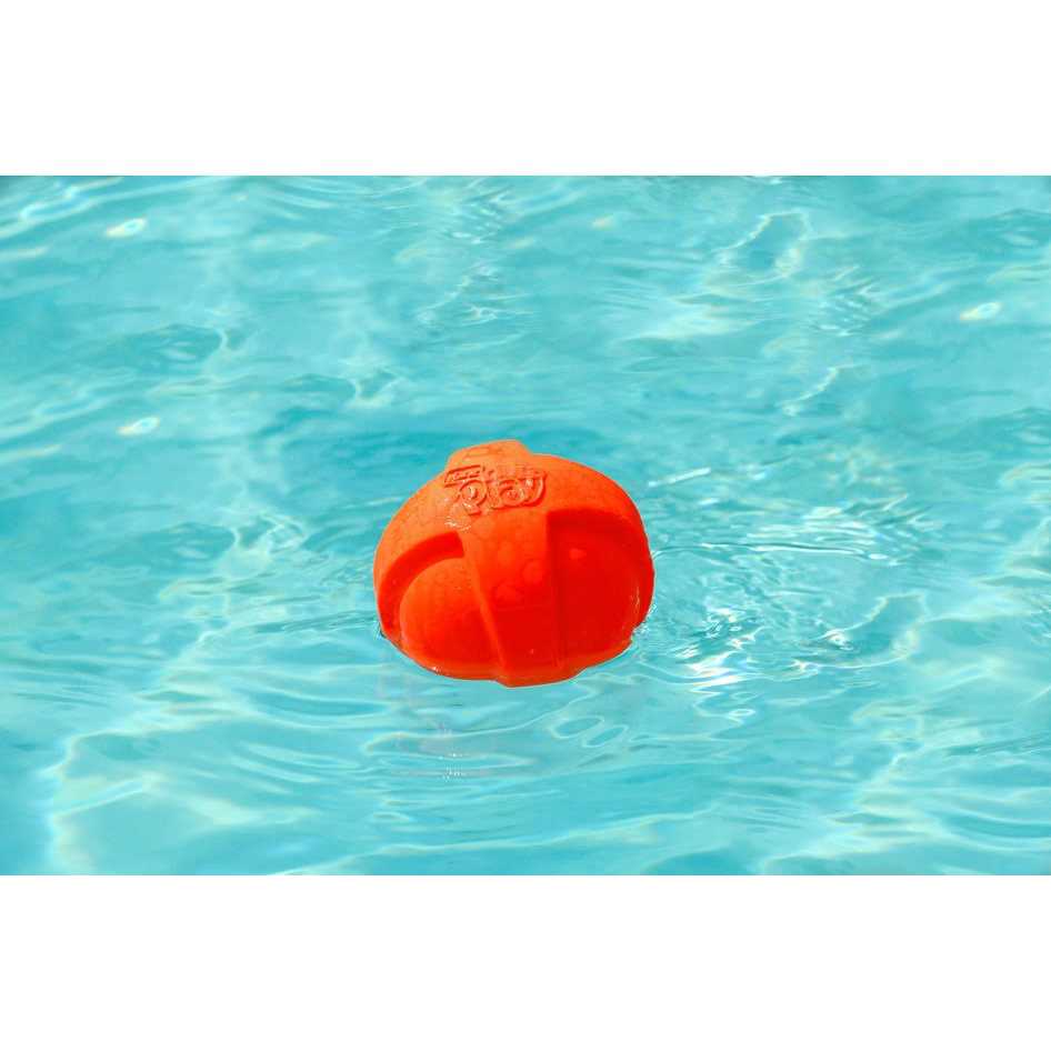 Dura Play Ball Dog Toy M56421