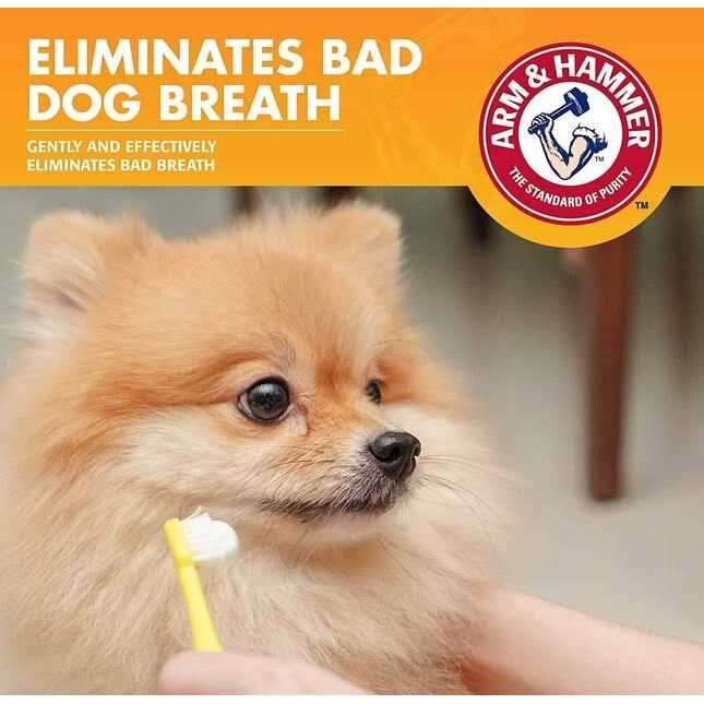 Enzymatic Toothpaste for Dogs K218886