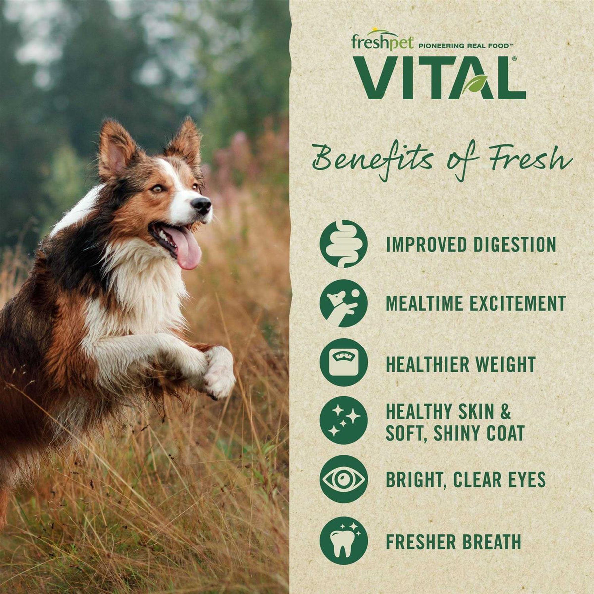 Grain Free Puppy Food V37717