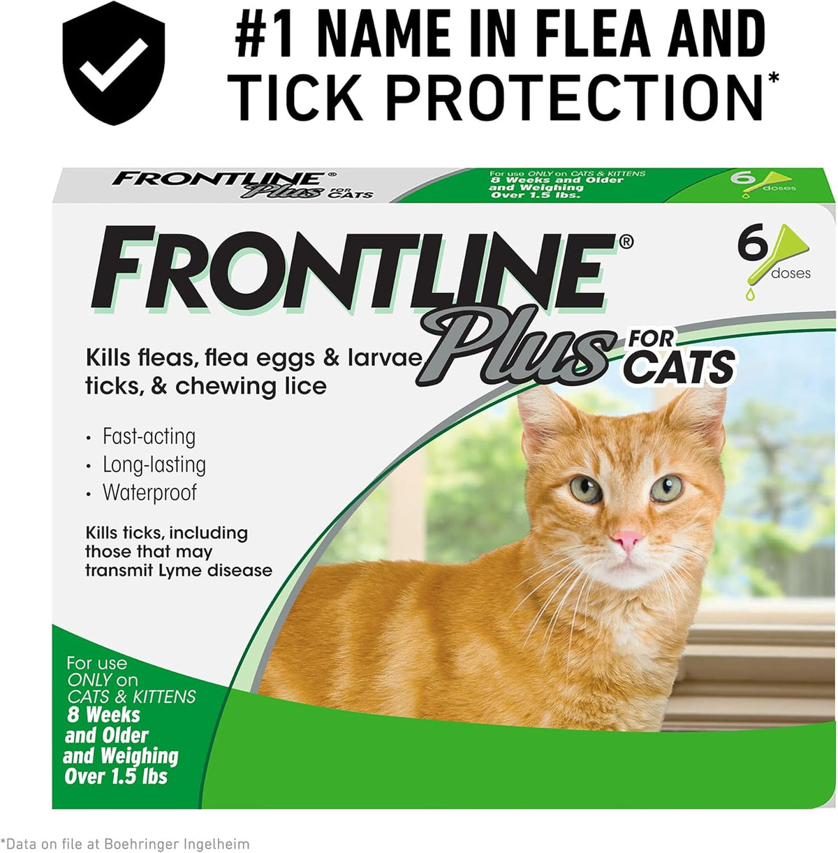 Flea and Tick Treatment for Cats E685
