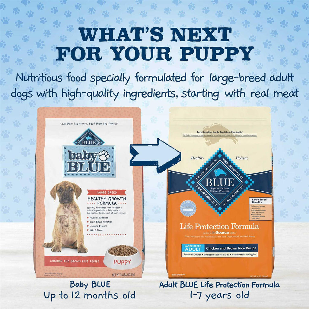 Baby Blue Large Breed Healthy Growth Formula Chicken & Brown Rice Recipe Puppy Dry Food L374