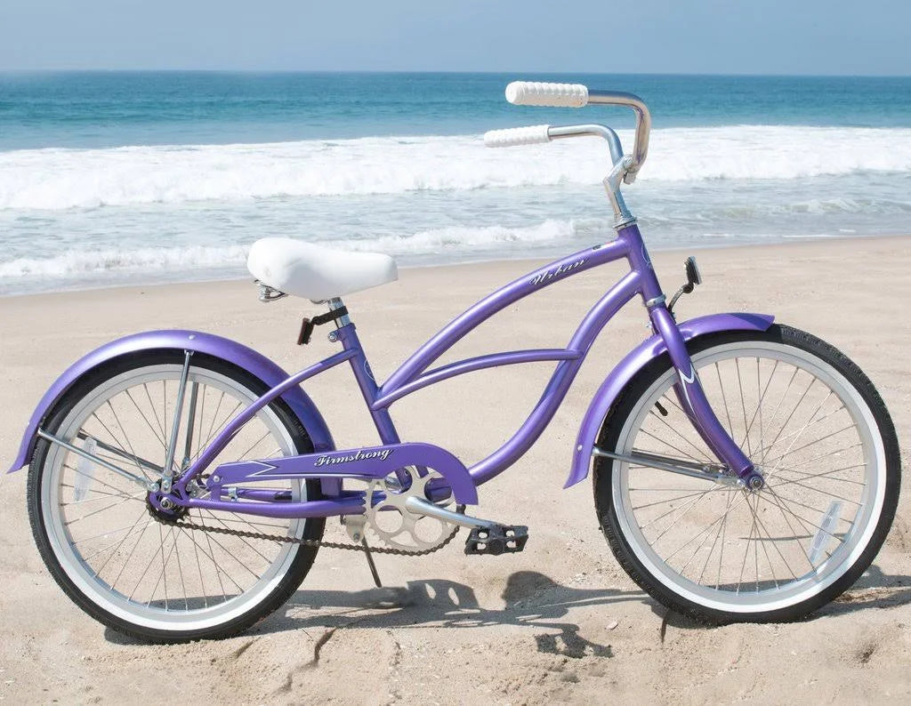 Purple Single Speed Cruiser Bicycle 20-inch H1784