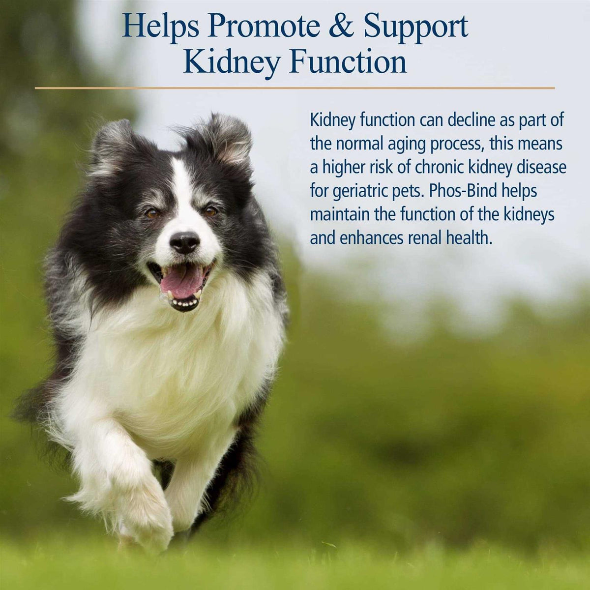 Pet Supplies M398591