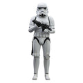 1:6 Scale Deluxe Figure L935535