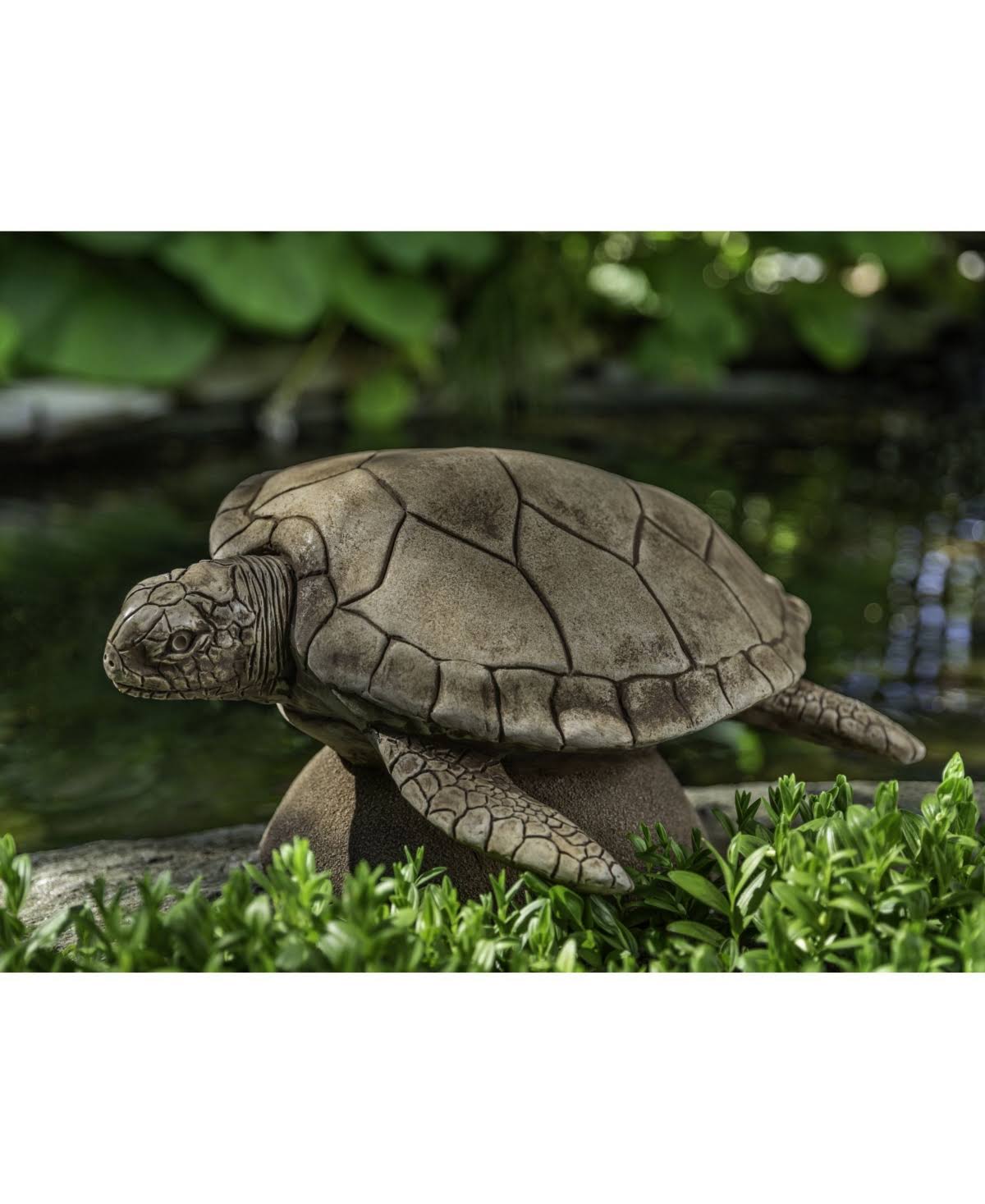 Large Sea Turtle Campania International Color: Ferro Rustico Nuovo M74849
