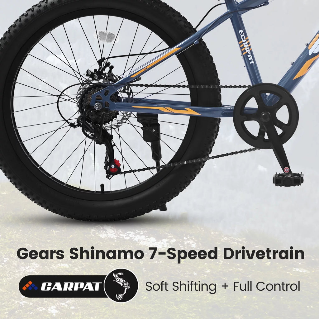 24 Inch Fat Tire Bike 7 Speeds Mountain Bike U436760