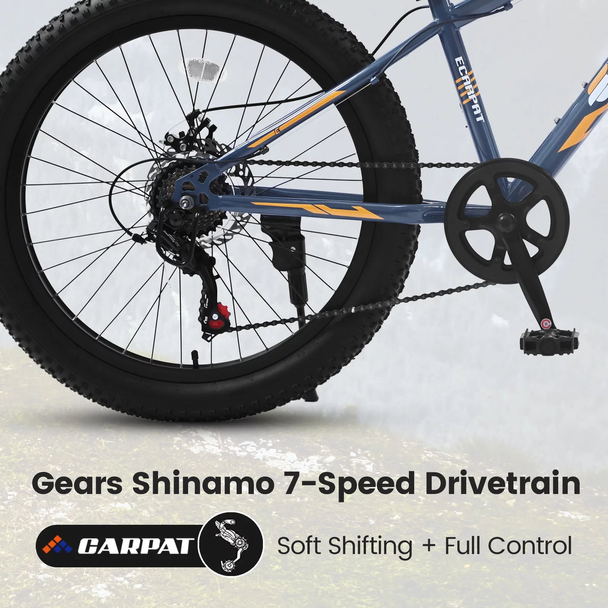 24 Inch Fat Tire Bike 7 Speeds Mountain Bike U436760