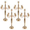 Black 4Pcs Metal Candelabra Candle Holder Y5821