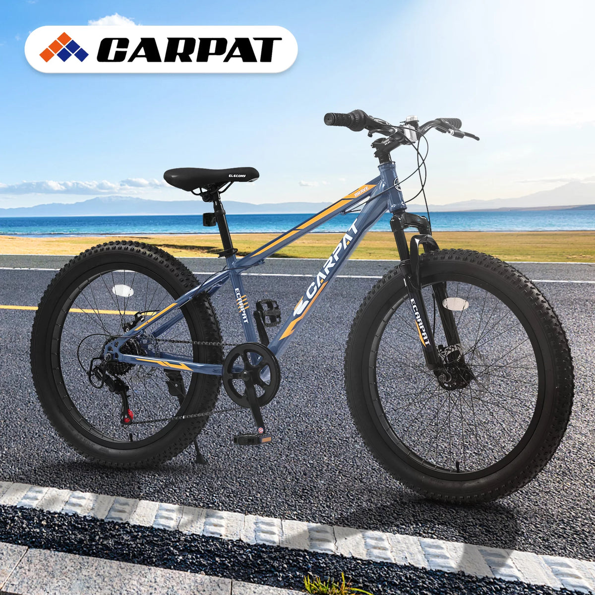 24 Inch Fat Tire Bike 7 Speeds Mountain Bike U436760