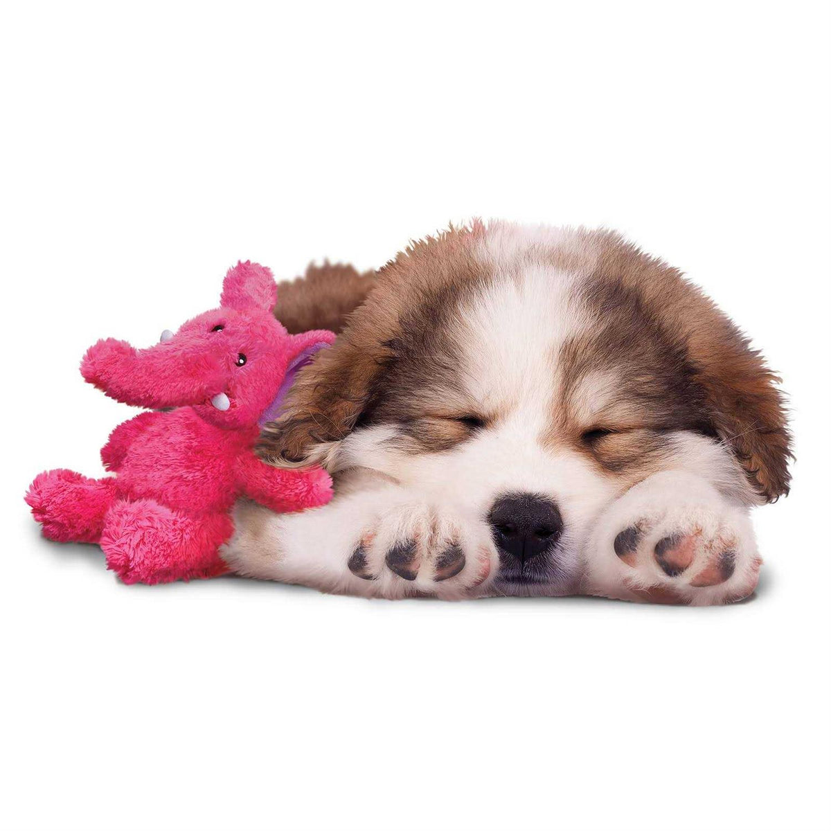 Dog Toy H1000