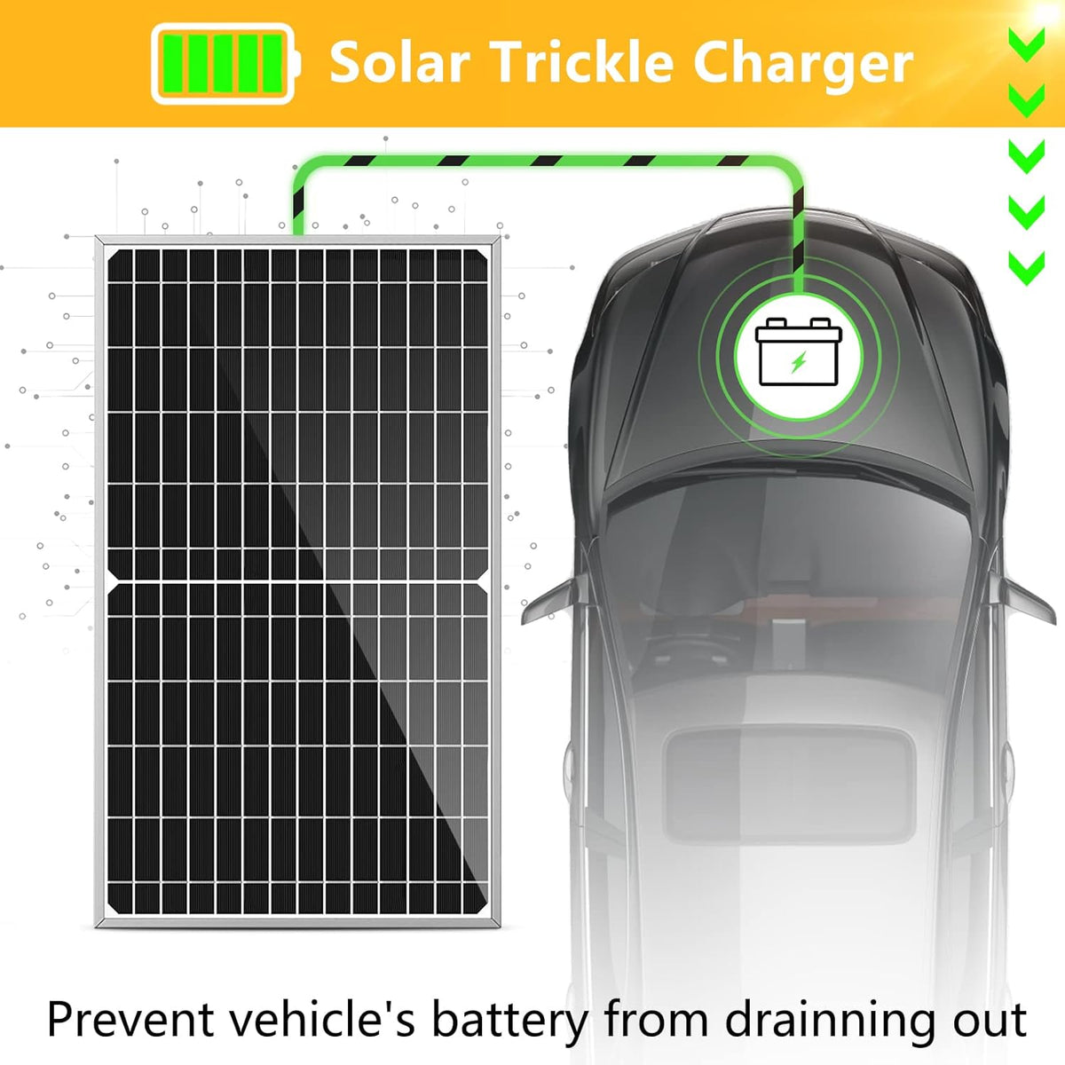 12 Volt 10 Watt Solar Car Battery Charger with Alligator Clip G77852