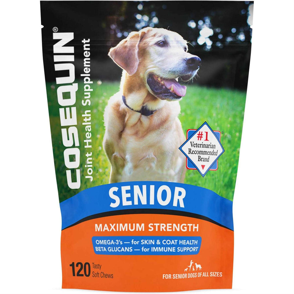 Joint Health Supplement for Senior Dogs H31043